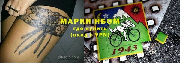 ГАЛЛЮЦИНОГЕННЫЕ ГРИБЫ Верея