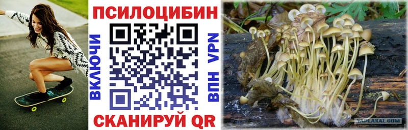Псилоцибиновые грибы Psilocybe  Купить закладки  Джанкой 